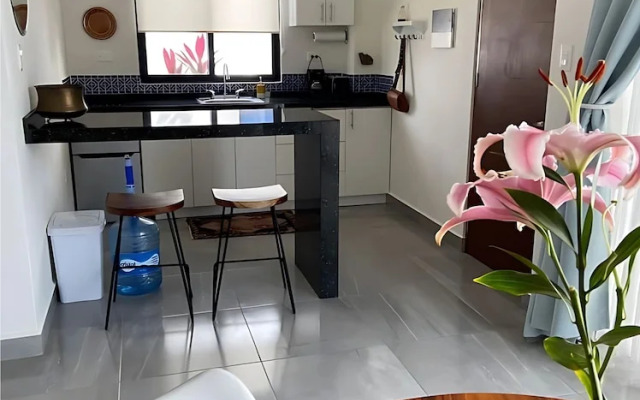 Discover Your Tulum Sanctuary Stylish Studio in Vibrant La Veleta!