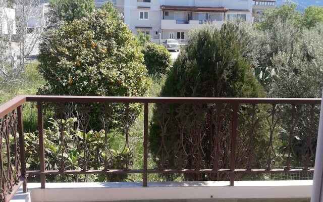 Anastasias House, Zipari