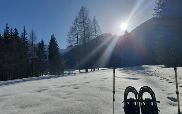 Secluded Apartment in Ferlach near Bodental Ski Lift