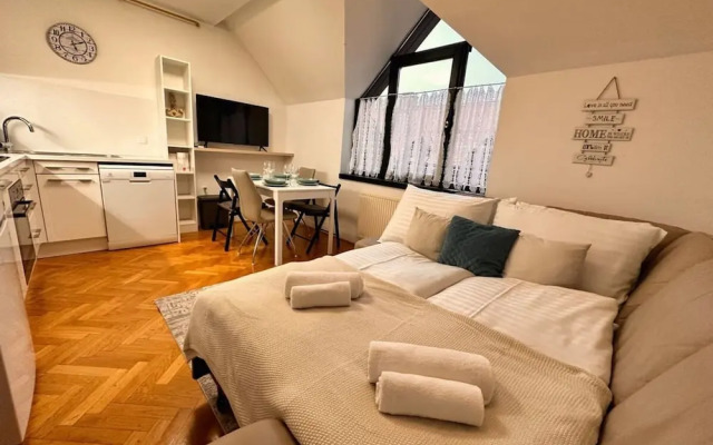 Charming City Loft Apartment With Free Parking