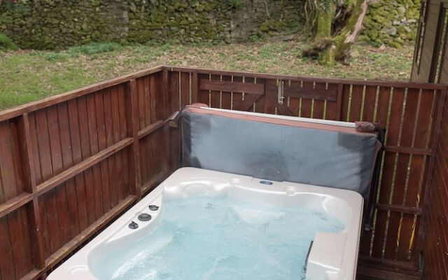 Birch Lodge 23 With Hot Tub, Newton Stewart
