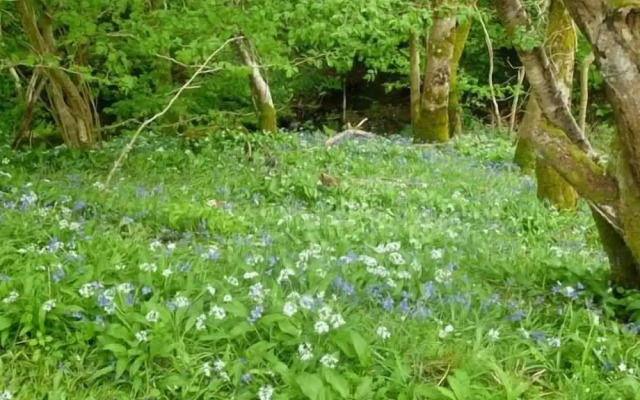 Hendre Aled Cottages