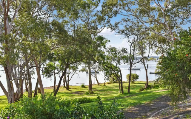 Wangi Dreaming