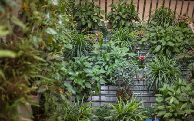Wuzhen Flower House