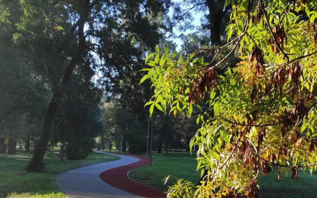 Hip riverview bestern