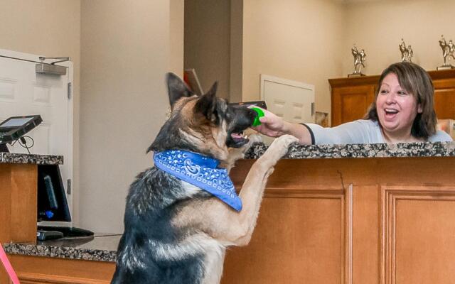 Candlewood Suites LONGVIEW by IHG