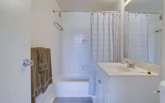 Beautiful & Spacious Apt in Crystal City
