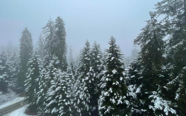 Rustic Mountain Apartment - A55