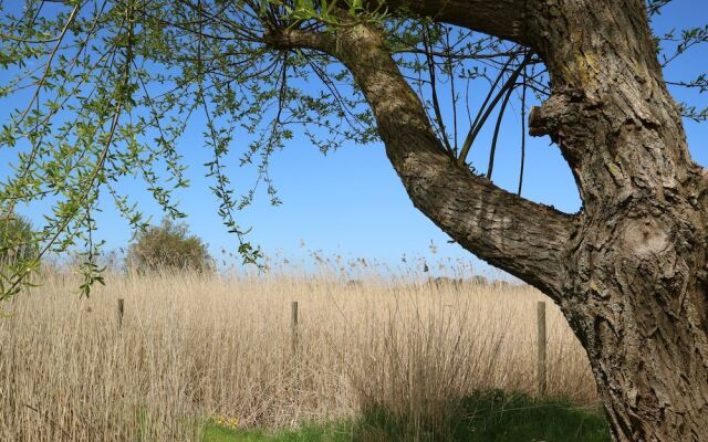 Birkelygaard Bed & Breakfast