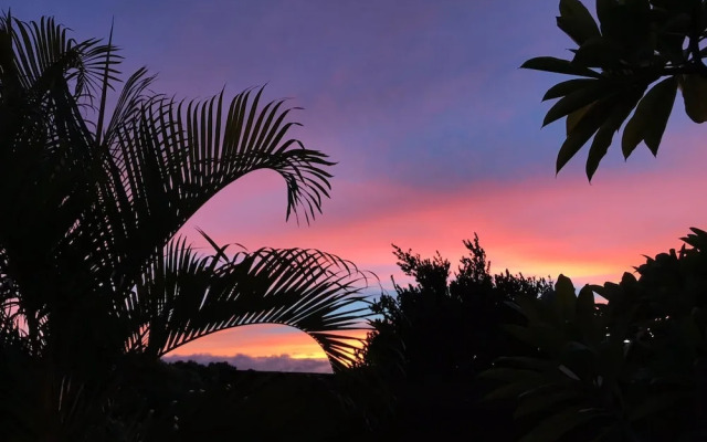 Maui Garden Oasis