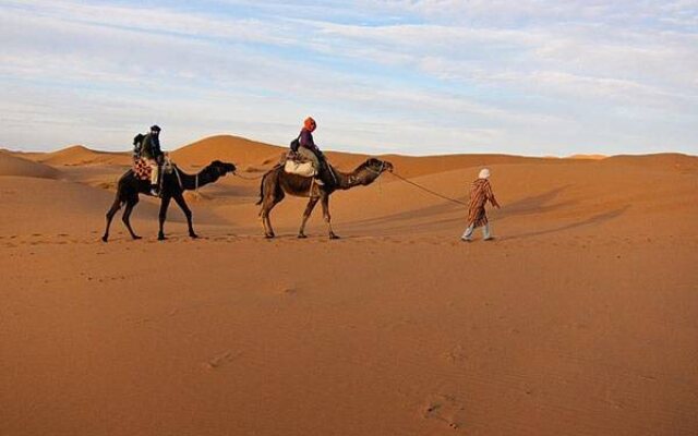 Camel Safari Camp