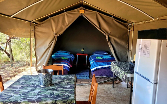 Thorn Tree Bush Camp