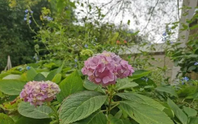 Dielianhua Guesthouse