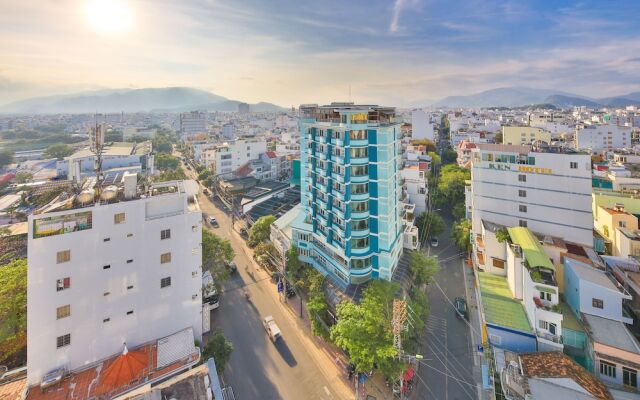 Daisy Flower Nha Trang