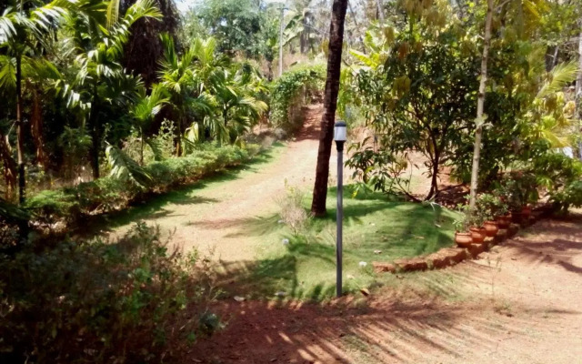 Ocean Green Kerala