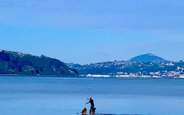 Otago Peninsula Paradise