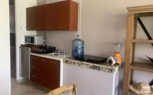 Departamento Acapulco Diamante