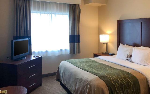 Comfort Inn Early Brownwood