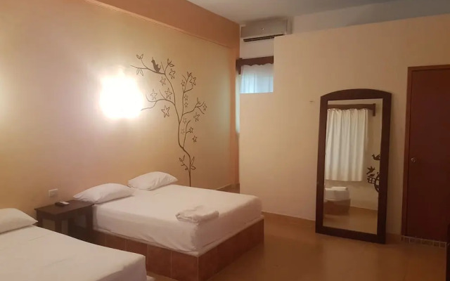 Cedro Tulum