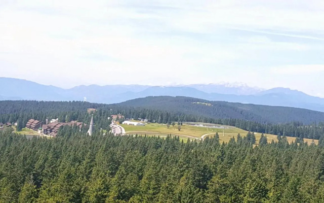 Rogla App Jerebika 11