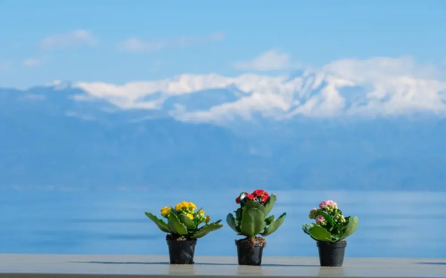Hilltop Residences