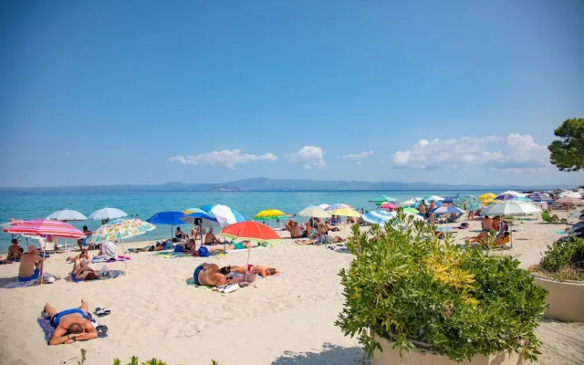 Olive Grove Panorama Suite Exi