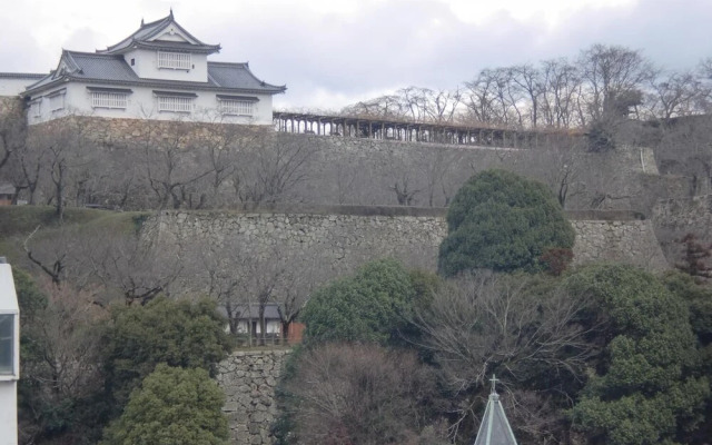 Tsuyama Central Hotel Town House