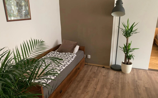 Anenska by Charles Bridge 2