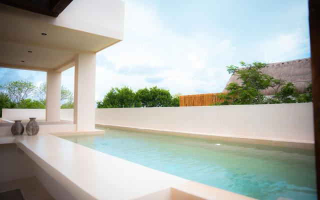 Tropical Studio Pool Gym C6