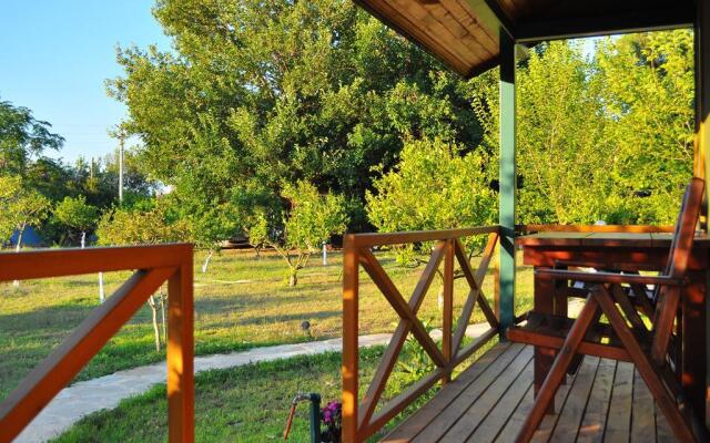 Hobbit Evi
