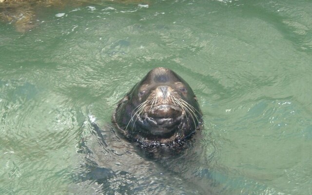 Westport RV Park & Motel