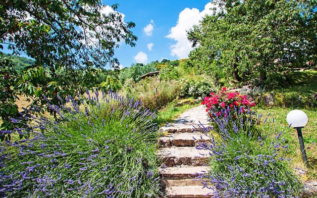 Santa Fiora retreat 30073