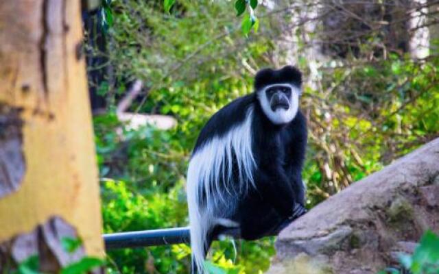 Crater Lake Tented Camp & Game Sanctuary