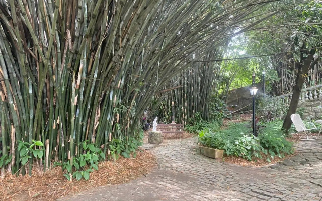 Rio Natureza apart 105