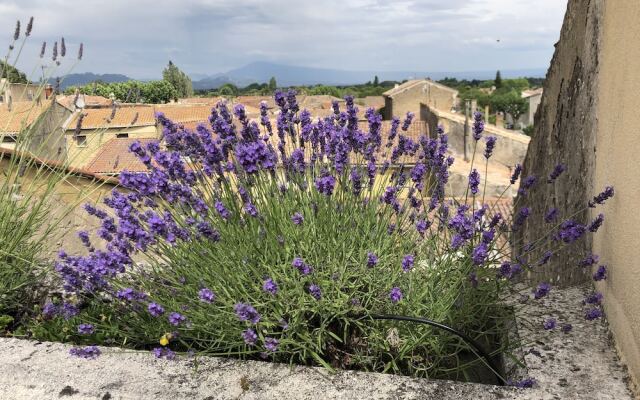 Entre vignes et dentelles