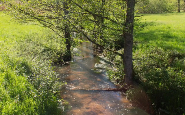 Wonderful Apartment With Great Location