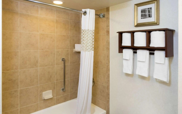 Hampton Inn Houston-Near The Galleria