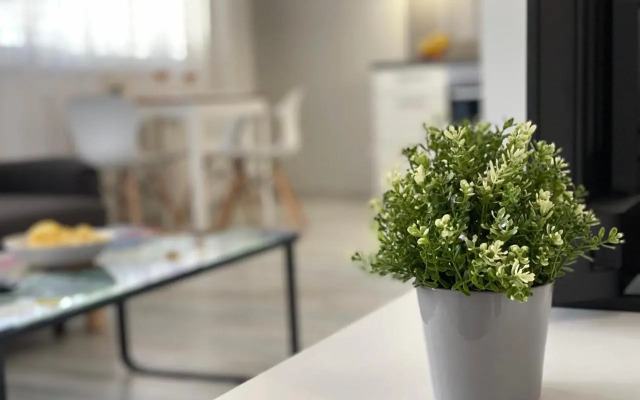 House of Beer - Stein