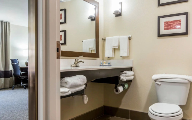 Comfort Inn & Suites Macon West