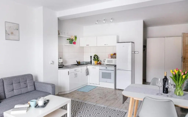 Apartament w centrum 2