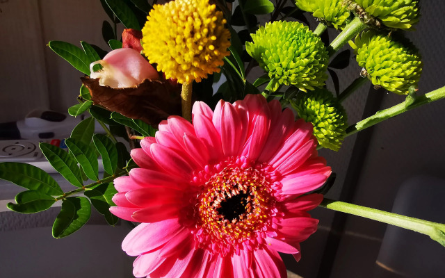 Seerose Boutique Pension