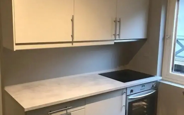 Notodden Sentrum Apartment No 2