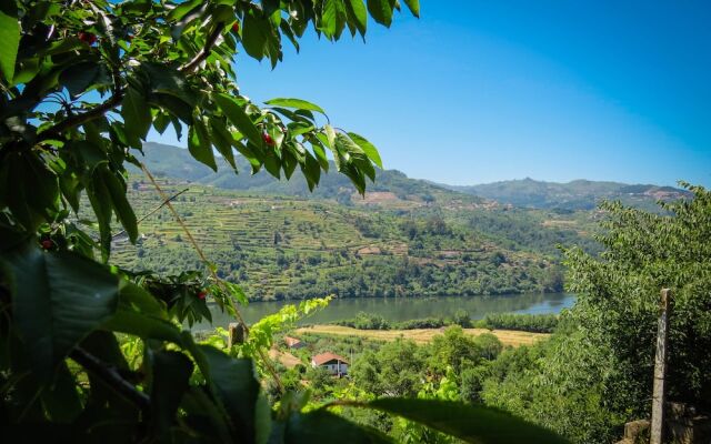 Casa da Mouta - Douro Valley