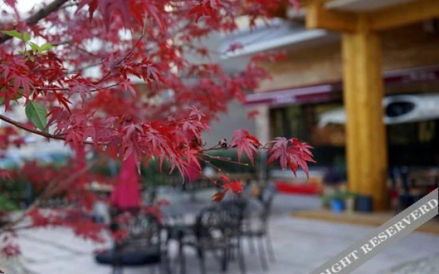 Yushan Lodge Qiandao Lake