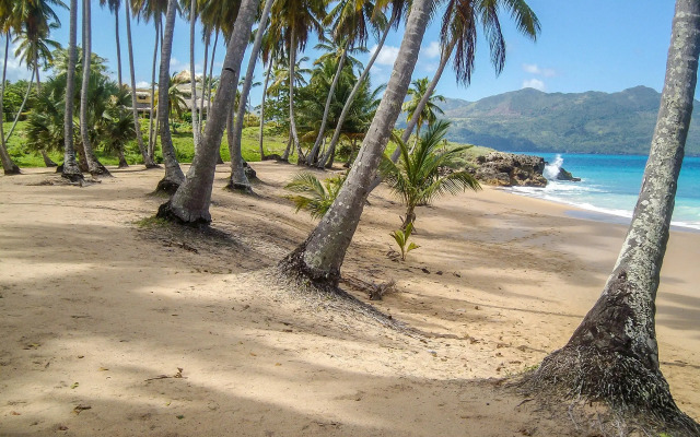 El Jardin Del Coco
