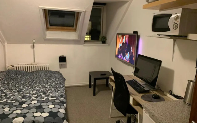Central & Cosy Studio + Free Bikes & Netflix