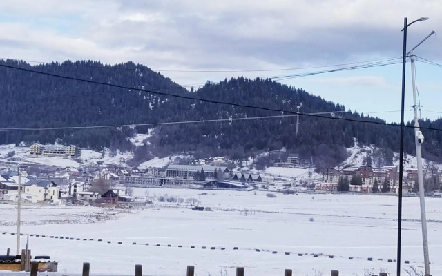 Bakuriani Plaza A113