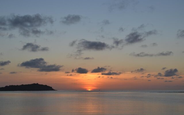 Palm Island