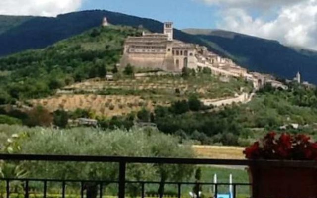 Agriturismo Il Girasole Assisi