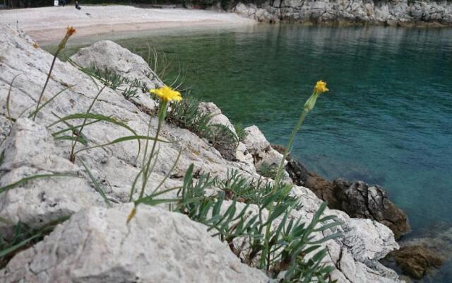 Apartments Plavčić